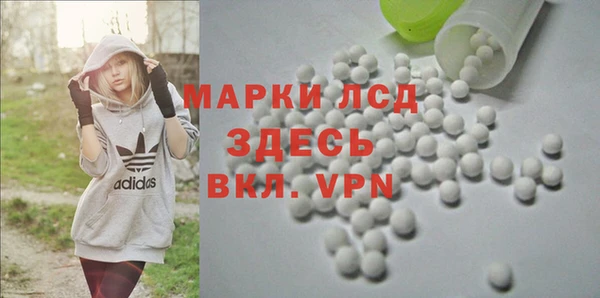 индика Алзамай