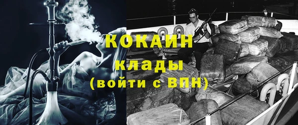 сатива Аркадак
