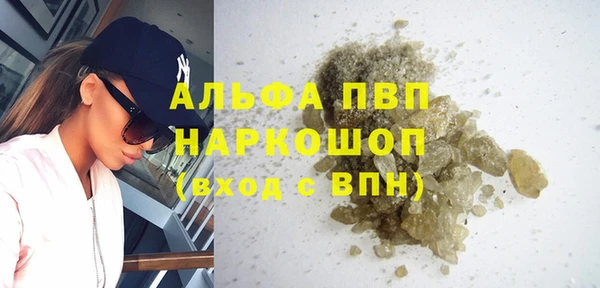 сатива Аркадак