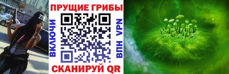 Галлюциногенные грибы прущие грибы  Димитровград 