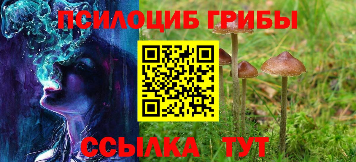 Галлюциногенные грибы ЛСД  Галлюциногенные грибы мицелий  Димитровград  купить наркотики цена  Вход с VPN 