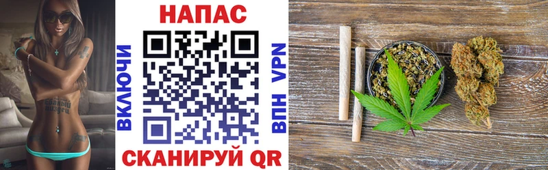 KRAKEN как войти что такое Димитровград МАРИХУАНА SATIVA & INDICA